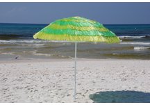 Palm Tree Raffia Umbrella
