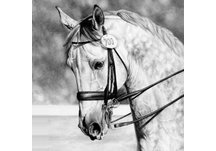 napkins, horses, hand napkins