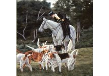 horse napkins, napkins, hand napkins, horses