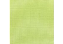 sunbrella-canvas-parrot