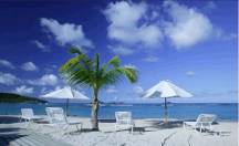 beach resort push-up umbrellas