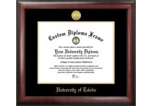 University of Toledo Gold Embossed Diploma Frame