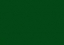 Green Color Swatch