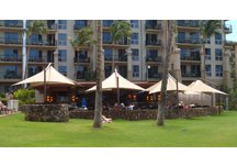 Vista 16' square cantilevered umbrella Vista 16' square cantilevered umbrella