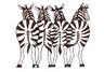 ZEBRAS