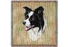 Border Collie Square Throw Blanket