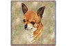Chihuahua Square Throw Blanket