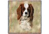 Cavalier King Charles Spaniel Square Throw Blanket