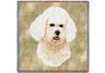 Bichon Frise Square Throw Blanket