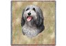 Bearded Collie Square Throw Blanket