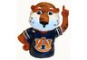 Auburn Tigers Hitch Cover15