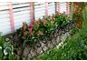Window Box