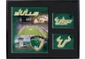 11 x 14 Southern Florida Bulls Black Matted Mylar Framed Logo Wall Hanging