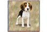 Beagle Puppies Square Throw Blanket