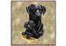Black Lab Puppy Square Throw Blanket
