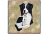 Border Collie & Pup Square Throw Blanket