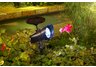 Solar Spotlight19