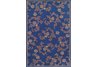 Chantilly Blue 5x8 Indoor Outdoor Rug