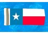 Texas Pool Float