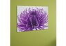 Flower Head Print