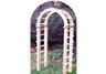 Gardenscape Arbor 4x4x36