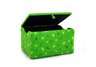 Dinosaur Train - Buddy Green Storage Box