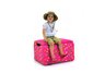 Dinosaur Train - Tiny Pink Storage Box