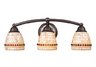 Roxana 3-Light Bath Bar In Aged Bronze