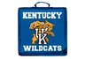 Kentucky Stadium Cushion