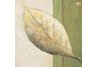 Leaf Impression - Olive