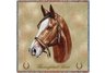 Thoroughbred Lap Square