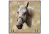 Quarter Horse Lap Square
