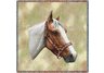 Pinto Horse Lap Square