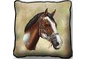 Paint Horse Pillow