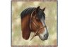 Clydesdale Horse Lap Square