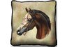 Arabian Horse Pillow