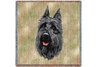 Bouvier Des Flandres Square Throw Blanket
