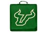 South Florida Stadium Cushion