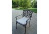 Mississippi Arm Chair with Cushion Antique Bronze