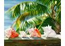 Parade of Conchs