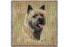 Cairn Terrier II Square Throw Blanket
