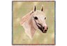 Arabian Lap Square