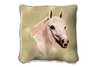 Arabian Pillow
