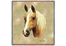 Palomino Lap Square