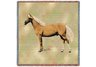 Palomino II Lap Square
