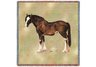 Clydesdale Lap Square