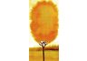 Yellow Tree