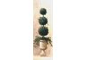 Roman Topiary II by Welby