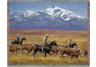 Homeward Bound Throw