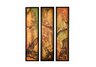 EARTH SECTIONS - S/3
